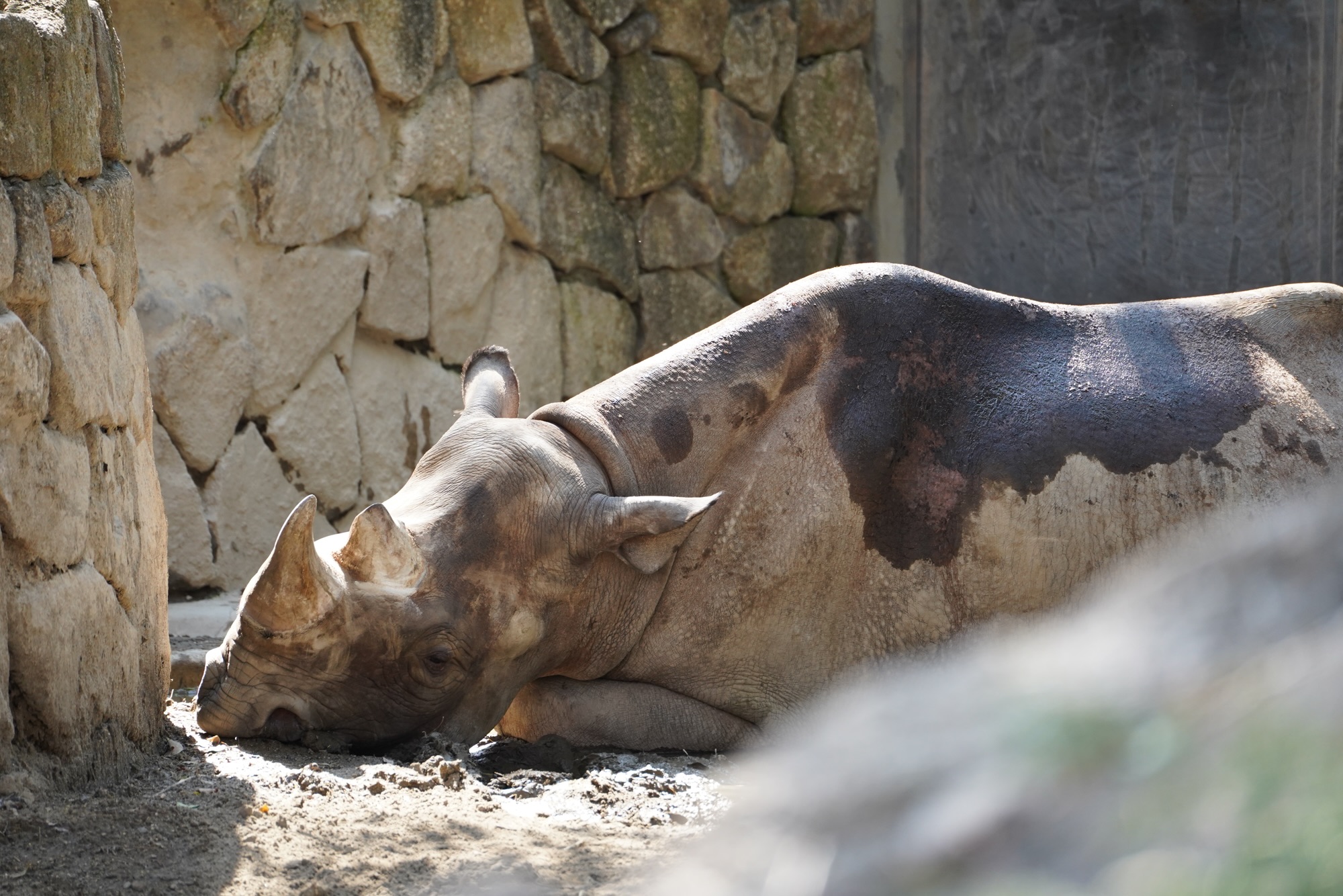 思考はエタノール
