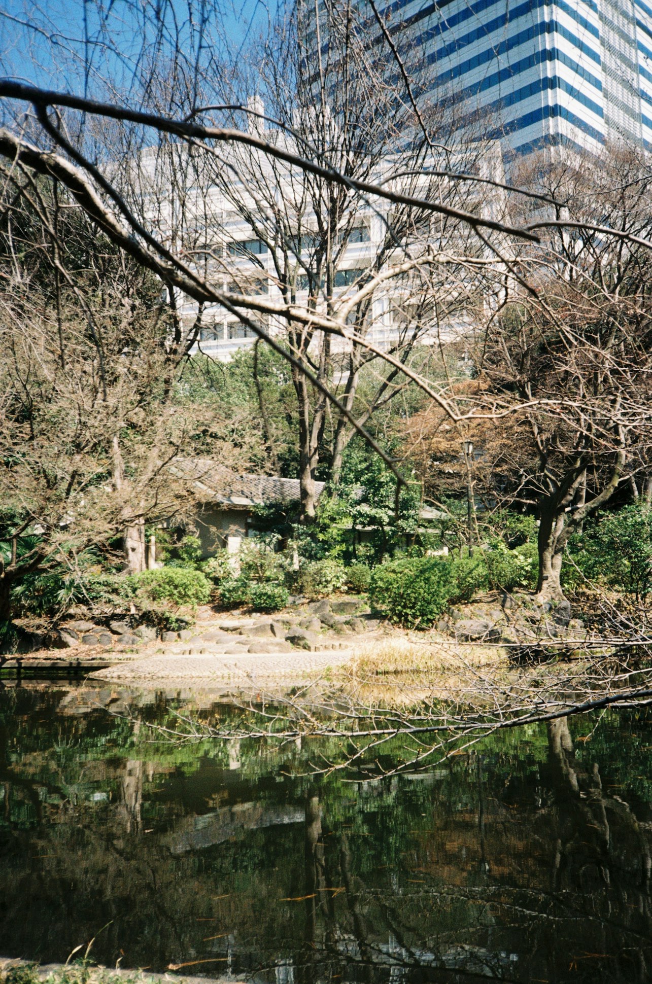 怒れない自分にマルをあげる