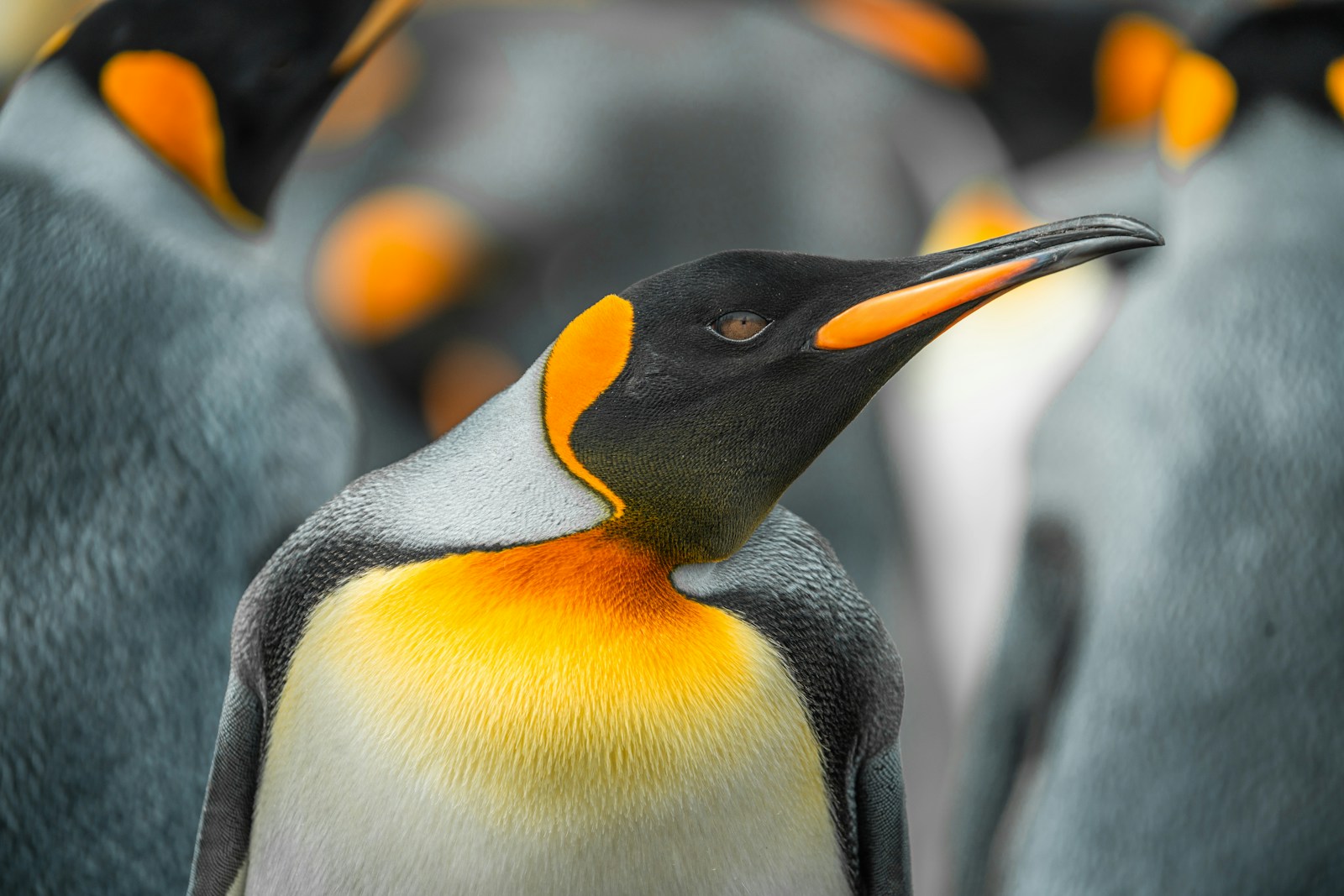 何を摂取したいか